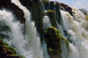 新紀錄!濟南人才總量突破257.63萬,前三季度吸納人才25.44萬