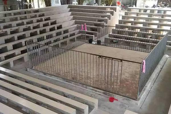 淘寶上線熱搜功能:約50%用戶可看到 隨熱度實時更新