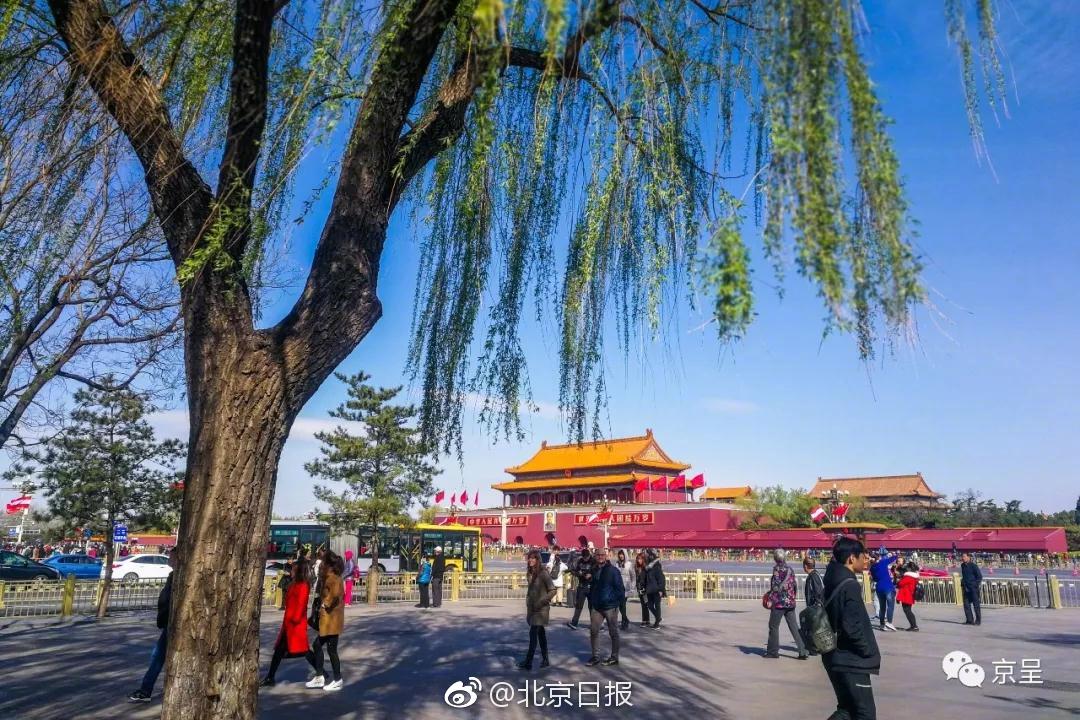 廣西欽州：參與全國一體化算力網絡長三角、成渝、貴州國家樞紐節點建設