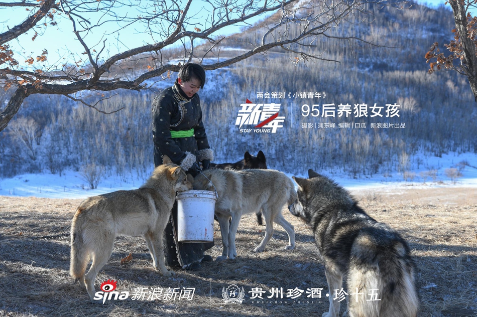 國網寧夏電力2023年第三次物資公開招標采購