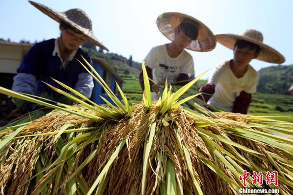 山東省委財(cái)經(jīng)委員會(huì)召開(kāi)第七次會(huì)議