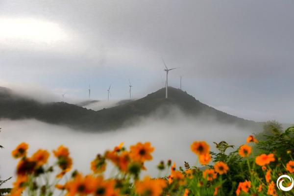 康明斯與斯堪尼亞攜手打造燃料電池重卡