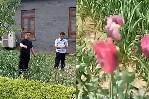 濟南長途汽車總站今起售賣春運客票
