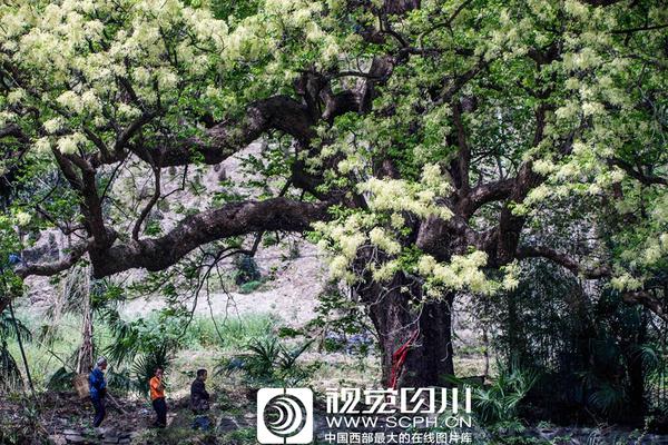 走企業 進園區 探訪復工復產 按下發展快進鍵 強健城市筋骨肉