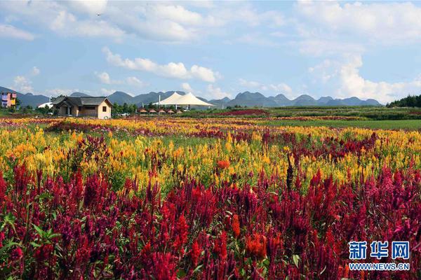 國家能源局綜合司關(guān)于進(jìn)一步做好抽水蓄能規(guī)劃建設(shè)工作有關(guān)事項(xiàng)的通知