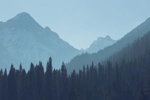 東北能源監管局積極推進電力業務許可資料管理邁向規范化