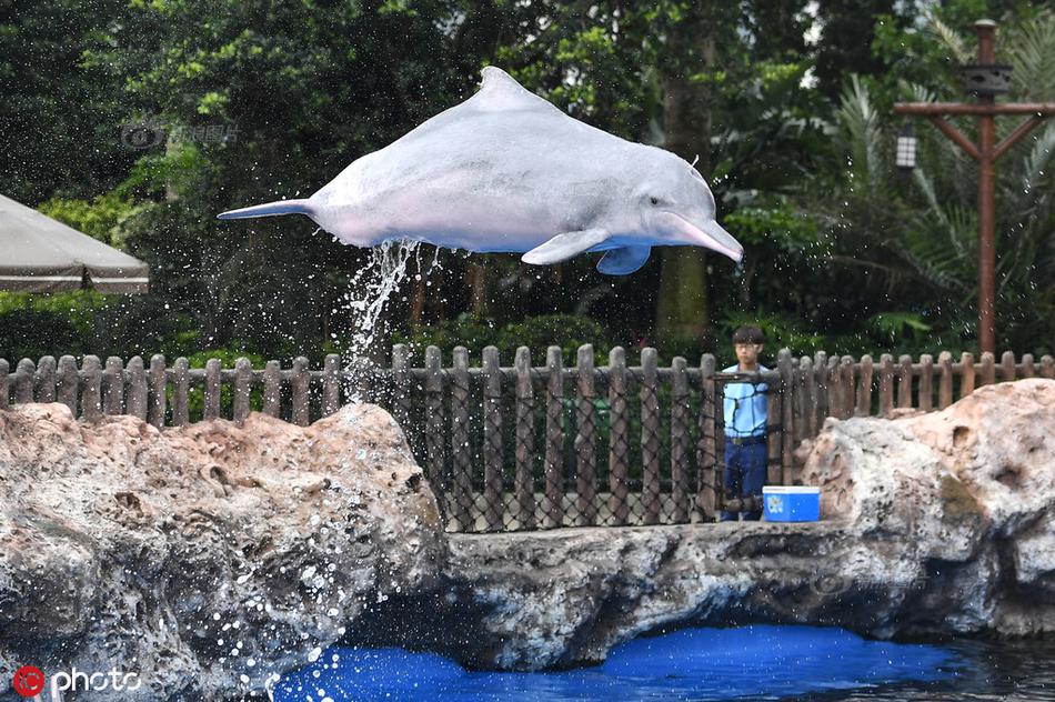 343批公示:國電投氫能、重塑、氫藍配套最多 陜汽首申報