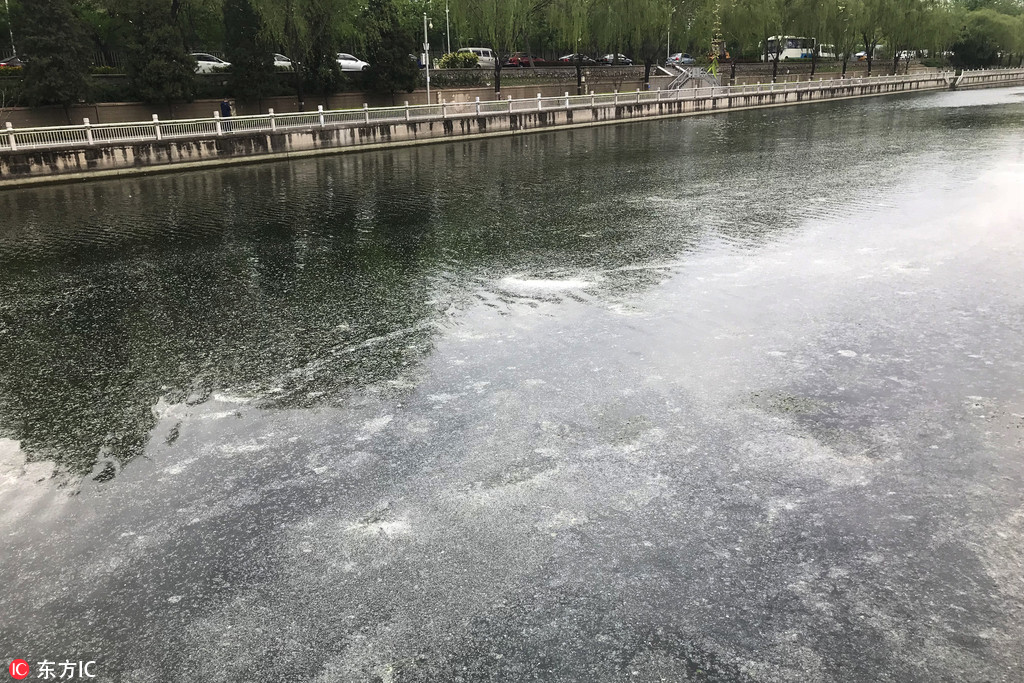 國(guó)網(wǎng)蒙東電力2023年第一次物資類單一來(lái)源非招標(biāo)成交候選人公示