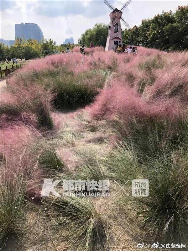 甘肅蘭州供電 :保障電網(wǎng)信息網(wǎng)絡(luò)安全