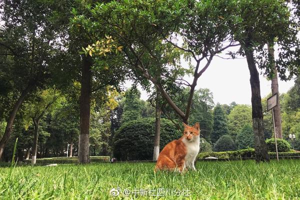 年終盤點:2017年度輸配電行業十大事件