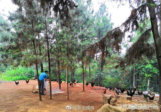 2021年9月湖南電力市場結(jié)算概況:售電公司平均購電價(jià)差-8.2元/兆瓦時(shí)