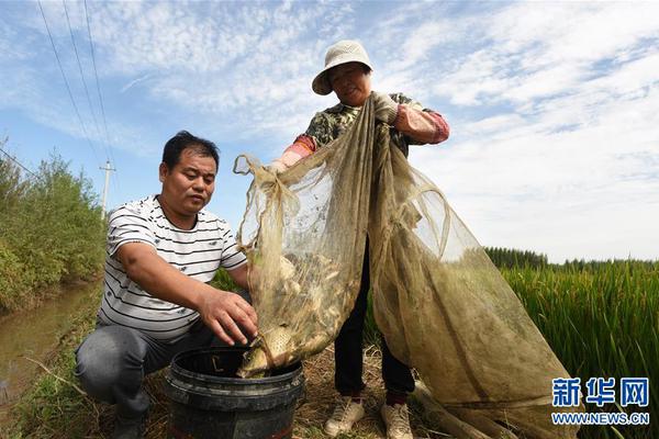 2025年15座加氫站 上海嘉定最新加氫站布局規(guī)劃公示