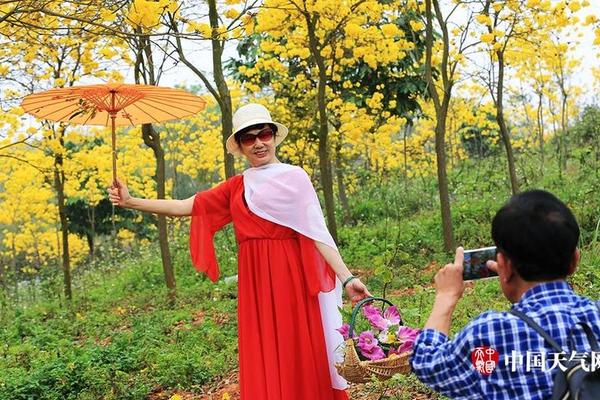 廣東2020年10月份月度電力交易時(shí)間安排
