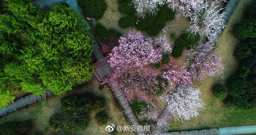 如何防感染？濟南市疾控中心提醒：做好這幾步，安全收取快遞