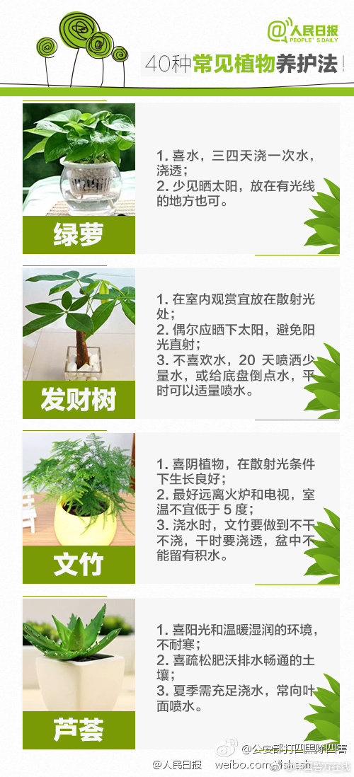 姚明這七年:從傳奇到更傳奇