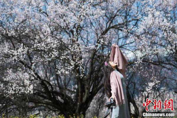 濟南長途汽車總站今起售賣春運客票