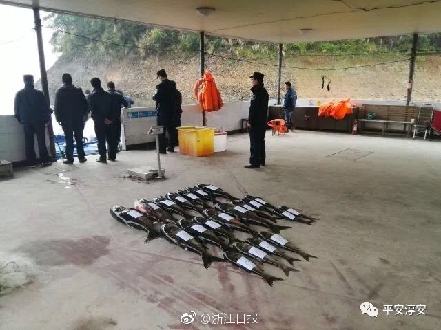 電子公告服務專項備案