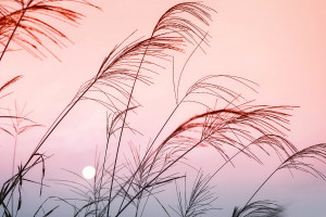 這十年來(lái)我從互聯(lián)網(wǎng)上學(xué)到的最深刻的洞見(jiàn)就是世界是個(gè)巨大的草臺(tái)班子