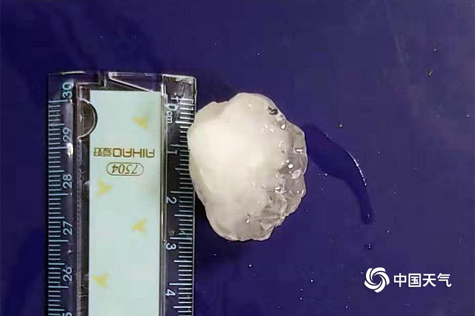 [博海拾貝 0404] 人類能斗得過機器嗎
