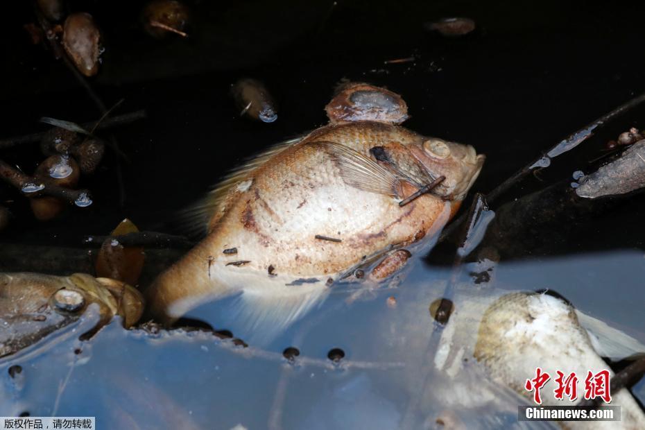 “一站式”處理!國(guó)網(wǎng)新疆電力研發(fā)臺(tái)區(qū)綜合管理系統(tǒng)