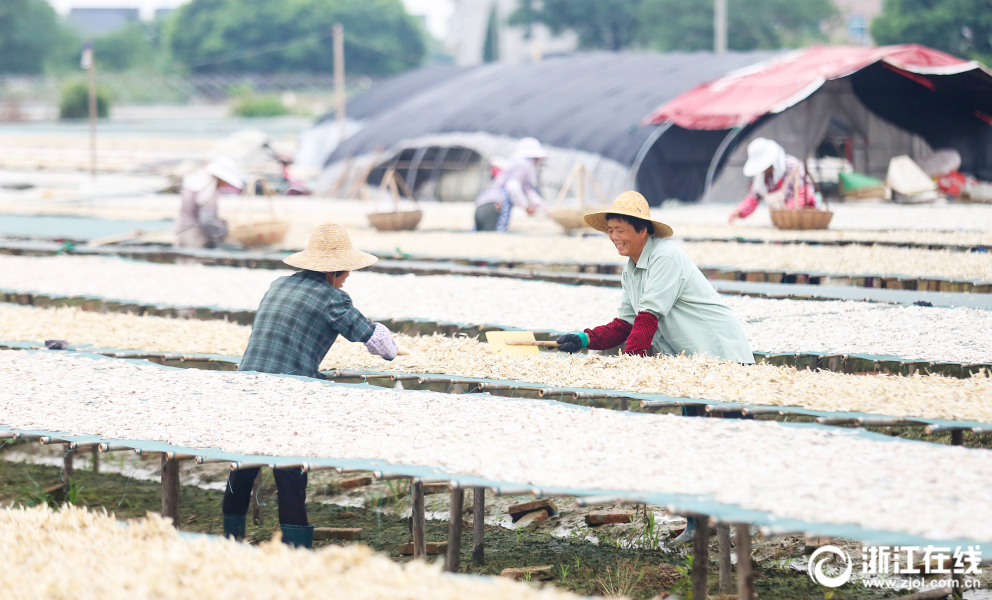 云南階段性降低企業用電成本 用戶電費按原到戶電價的95%結算