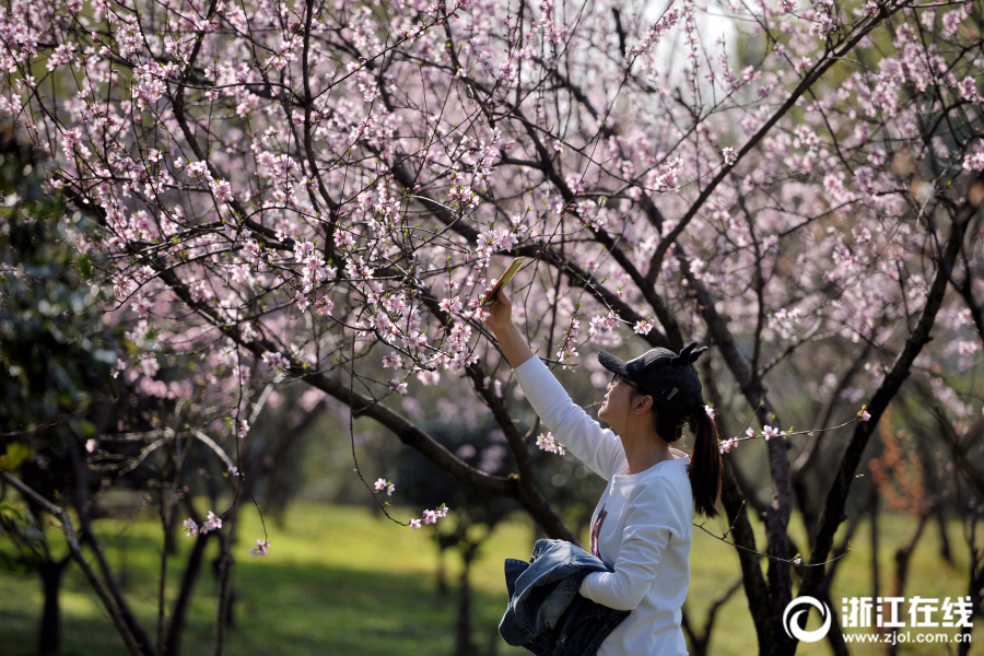 遠(yuǎn)光軟件全面風(fēng)險(xiǎn)管理解決方案獲評(píng)“用戶推薦品牌”