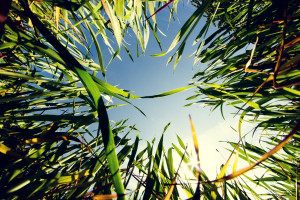 厚普成功中標中石化總部全標段橇裝加氫設備采購項目