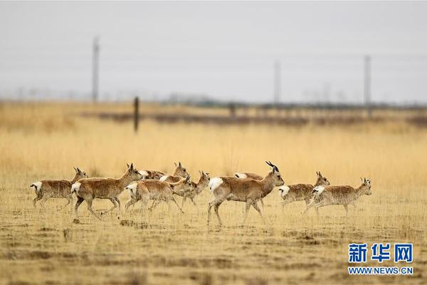 重慶磨床廠舊城改造項目—污染土壤治理修復工程公開招標！