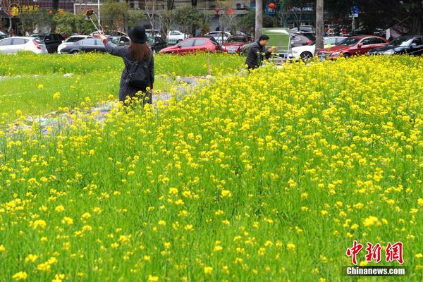 速速報名！“儲能大講堂”——電化學儲能安全·山東站