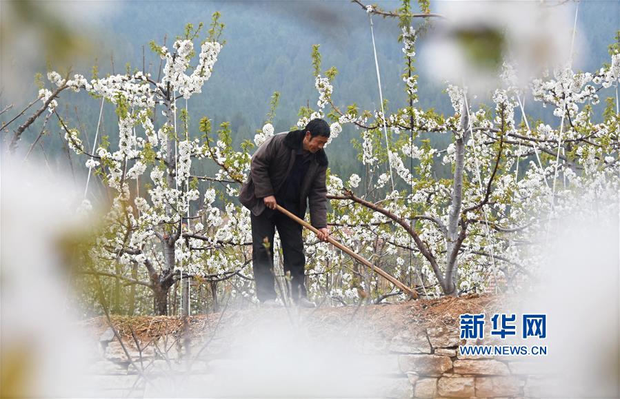 “轉腚”式復仇？刀郎的娛圈恩怨