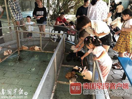 國網遼寧電力研發應用電網調控安全管理平臺