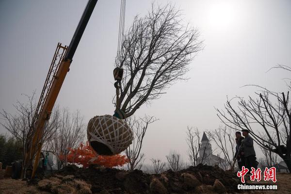 中國最西部抵邊村寨電網工程竣工送電