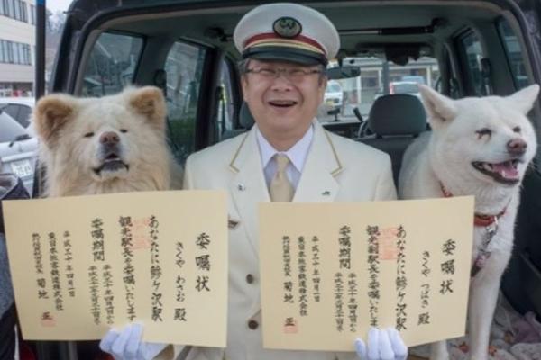 “國民女神”老干媽的家族式成長難題