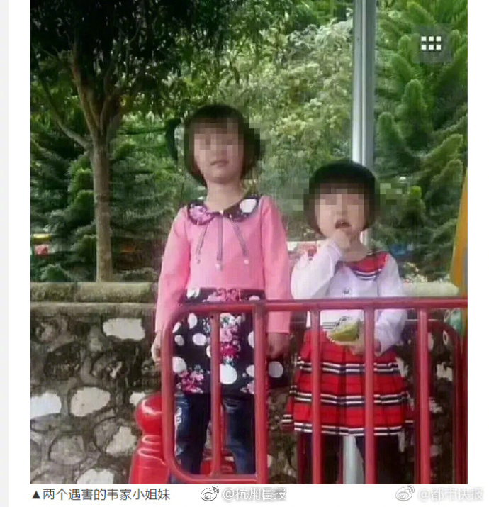雙十一視頻會員合集來了！騰訊愛奇藝嗶哩嗶哩等，錯過等明年！