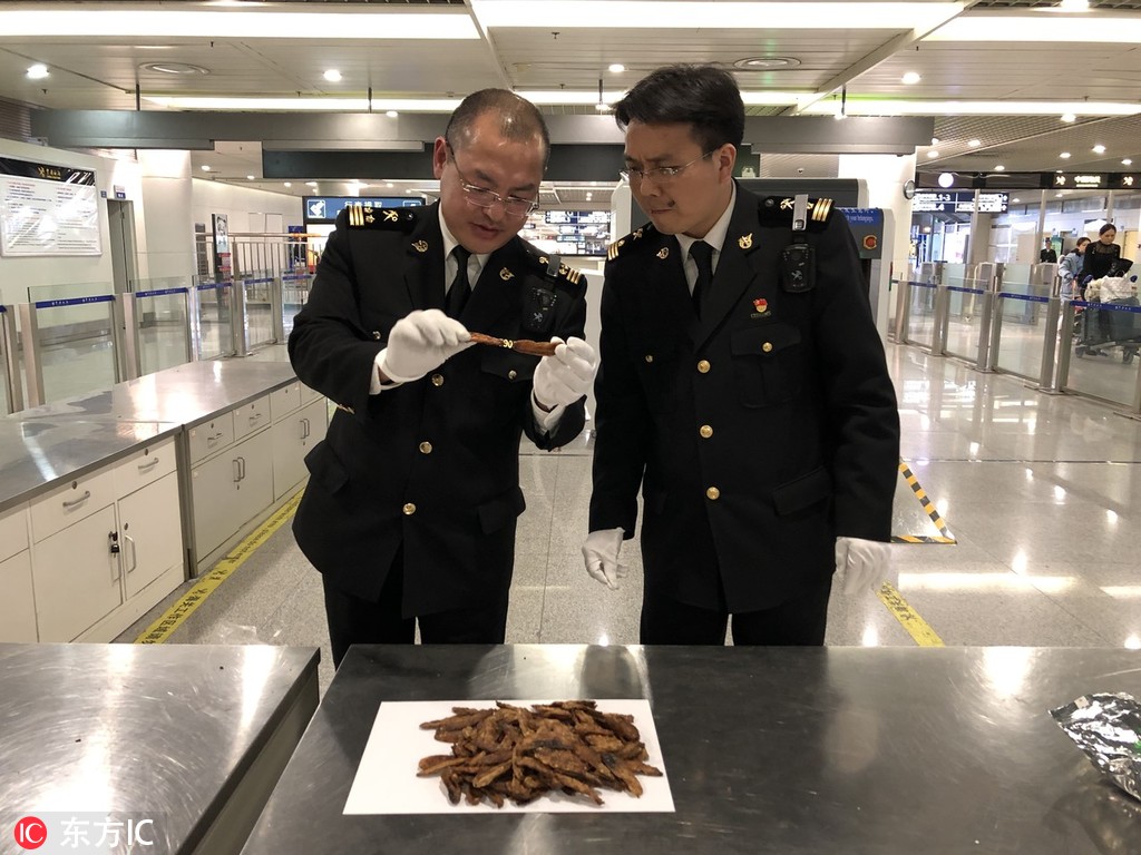 珠海市政協(xié)主席錢芳莉率隊調(diào)研遠光軟件