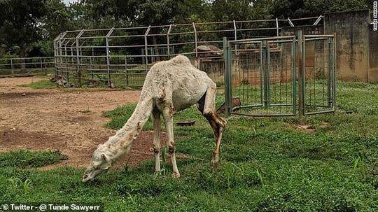 電力信息安全防御迫在眉睫 專業安全商迎良機