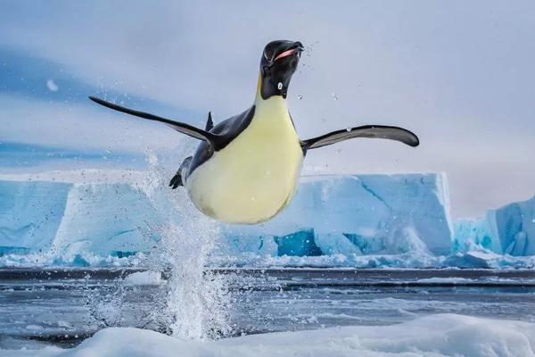 李諺斐：國際綠色氫氨醇貿(mào)易將加速發(fā)展