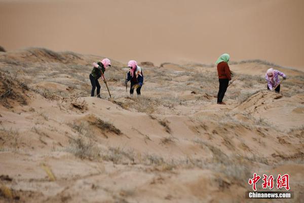 江蘇南京：產業融合向未來 共謀發展新篇章