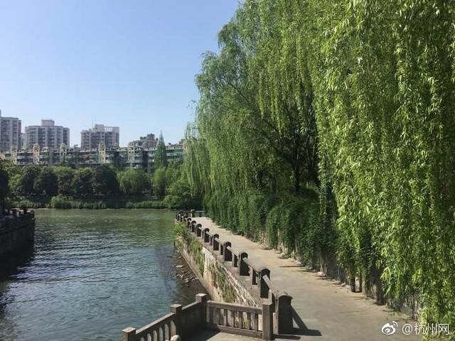 晉南鋼鐵集團(tuán)首批300輛氫能重卡投入運(yùn)行