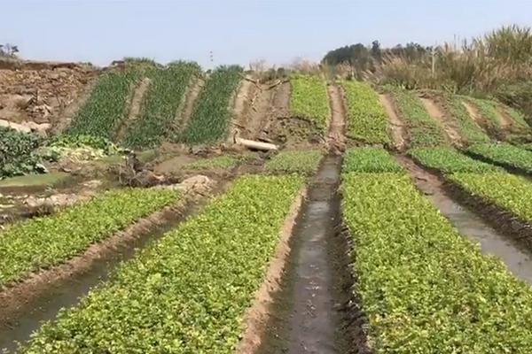 華為舉辦HCC2014電力行業論壇 構建更美好全聯接電網