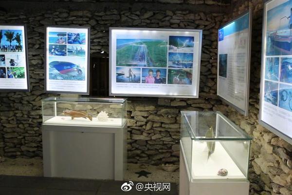 在黃河大集,感受全新的“