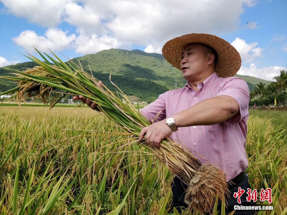 北極星招聘APP我們更懂你的優秀