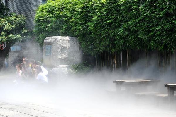 堅持結果導向 讓老舊小區成為軟實力"增量"