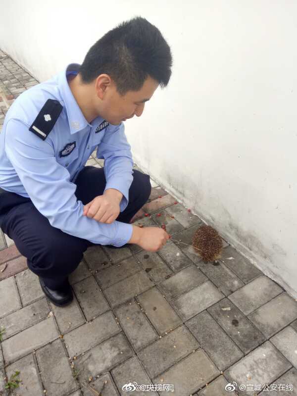 建立業務稽核機制！新疆印發電力市場監管實施細則（試行）