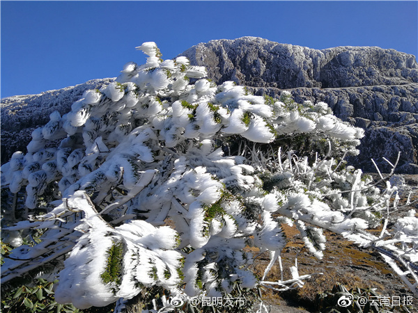 駱駝 男士 防水防滑 高幫戶外登山鞋 徒步鞋 179元火拼價(jià)