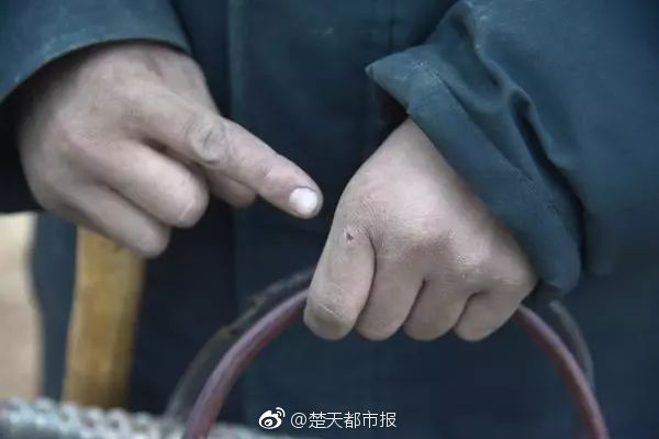 國內(nèi)首個電源側(cè)新型電力系統(tǒng)仿真平臺建成