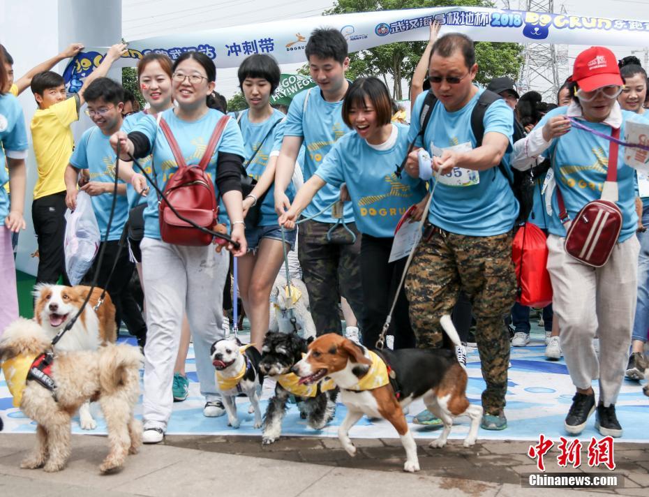 上海應物所200kW高溫制氫裝置順利通過項目驗收