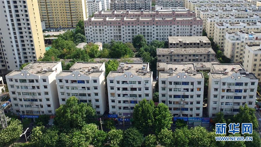 葡萄牙與荷蘭簽署綠氫協議