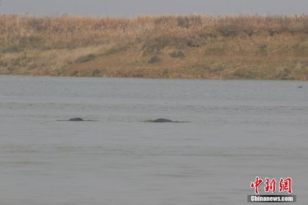 科林電氣承接冬奧會張家口賽區多場地中壓10千伏電力設施