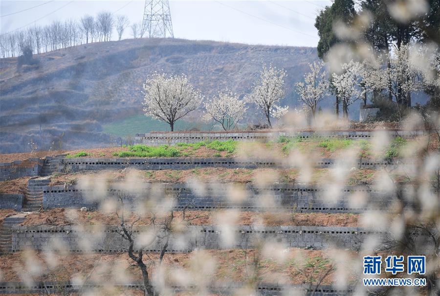 “新基建”7大產業鏈 5G基站產業鏈全景圖